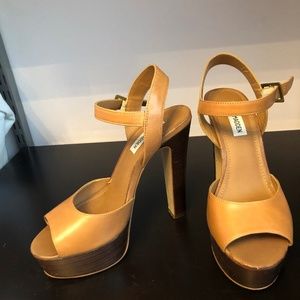 Steve Madden Dynoo Platform Sandals Heels
